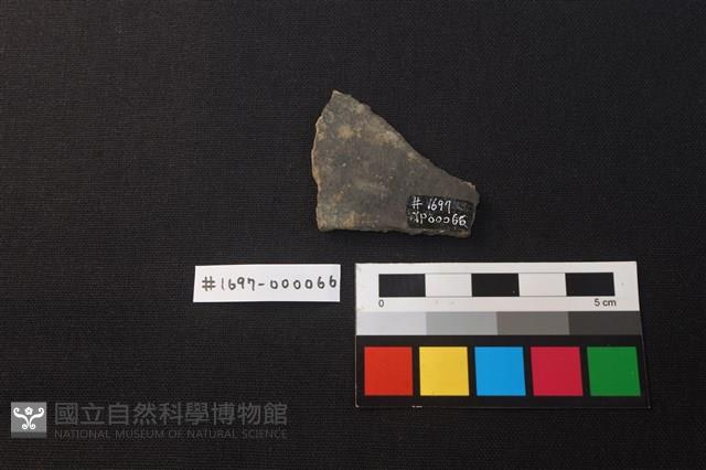 陶片藏品圖，第2張