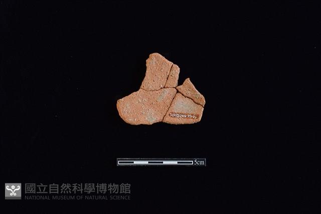 陶片藏品圖，第2張