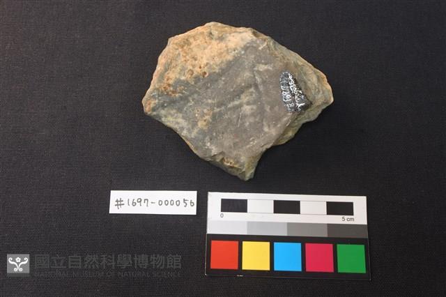 陶片藏品圖，第2張