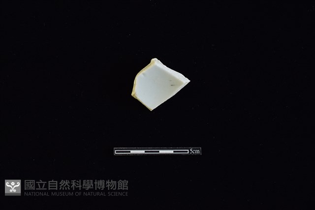 碗藏品圖，第2張