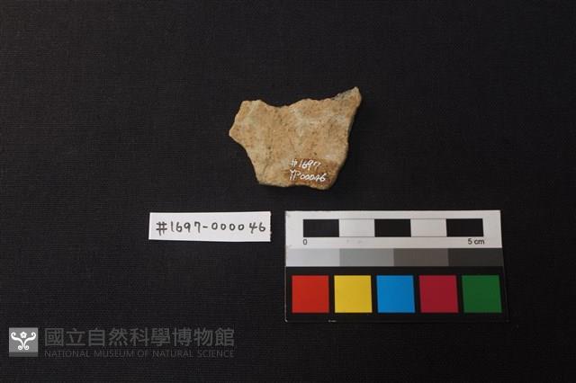 陶片藏品圖，第2張