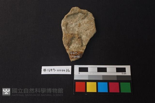 陶片藏品圖，第2張
