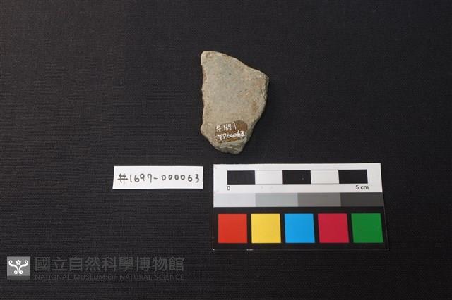 陶片藏品圖，第2張