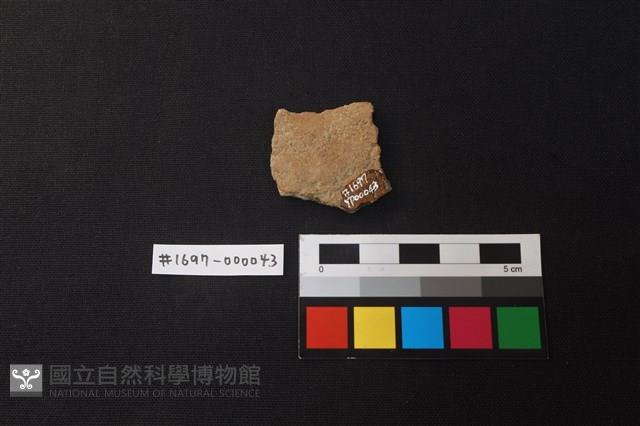 陶片藏品圖，第2張