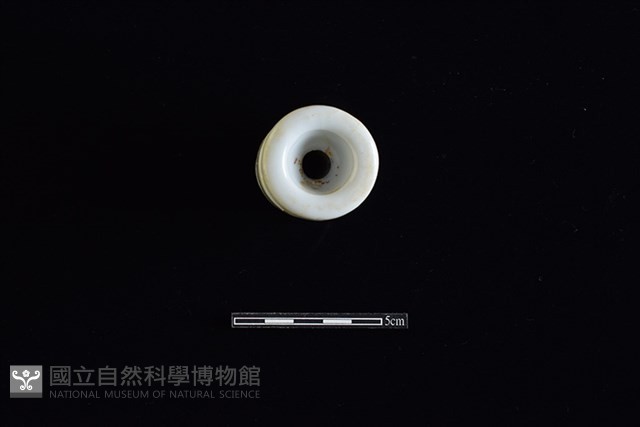 礙子藏品圖，第2張