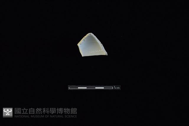 杯藏品圖，第2張