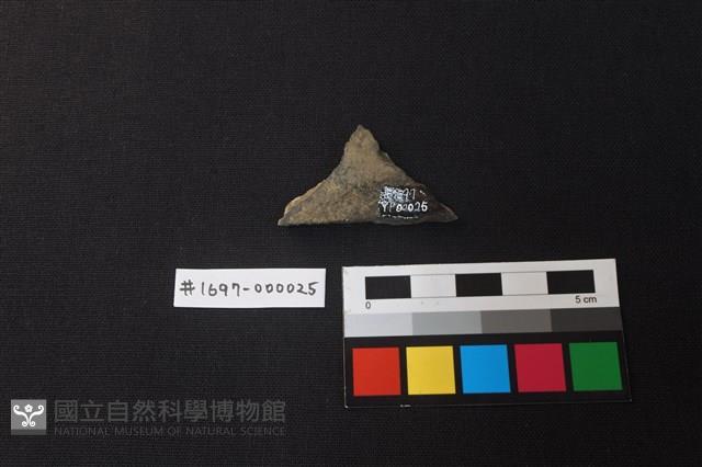 陶片藏品圖，第2張