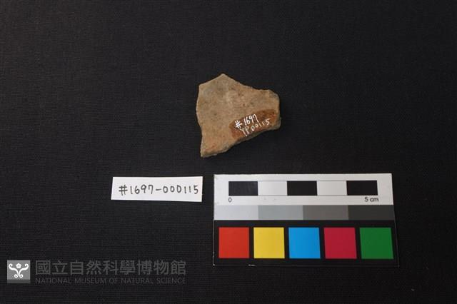 陶片藏品圖，第2張