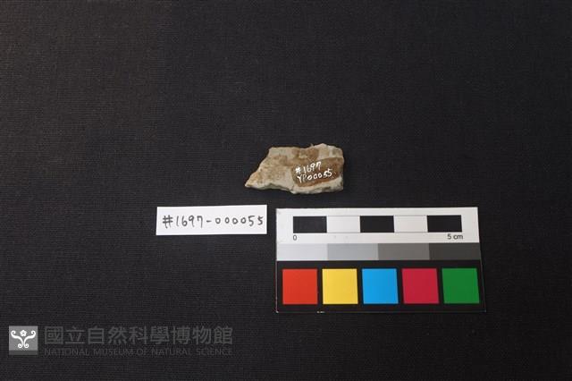 陶片藏品圖，第2張