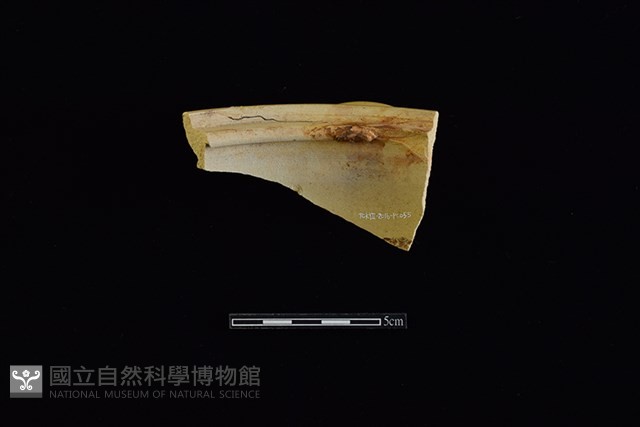 罐藏品圖，第2張