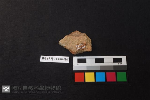 陶片藏品圖，第2張