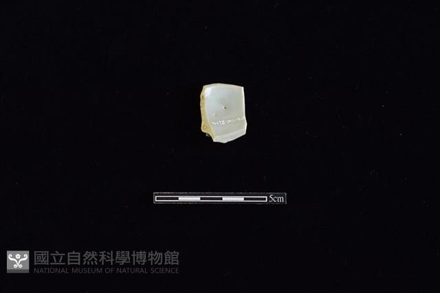 湯匙藏品圖，第2張