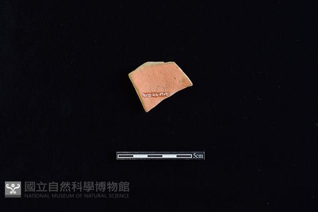 陶片藏品圖，第2張