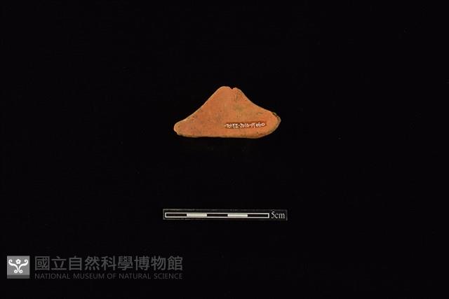 連杯藏品圖，第2張