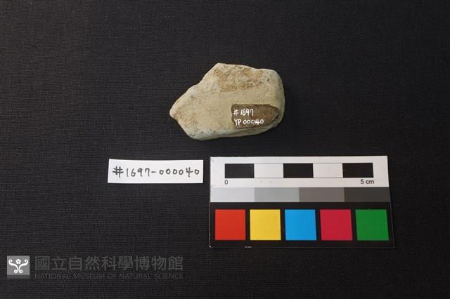陶片藏品圖，第2張