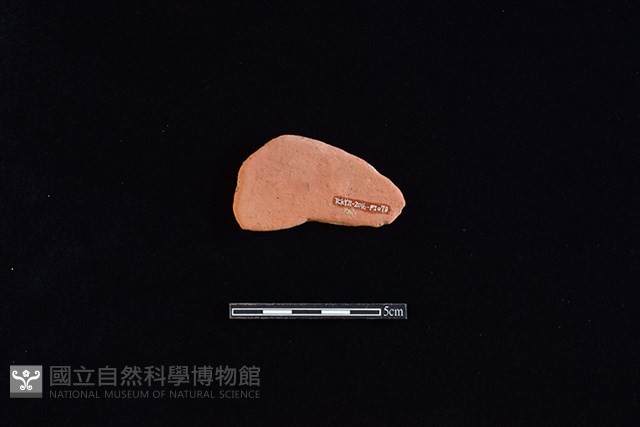 陶片藏品圖，第2張