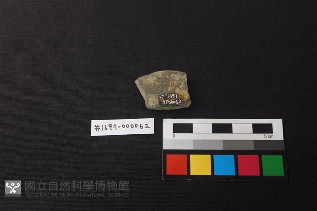 陶片藏品圖，第2張