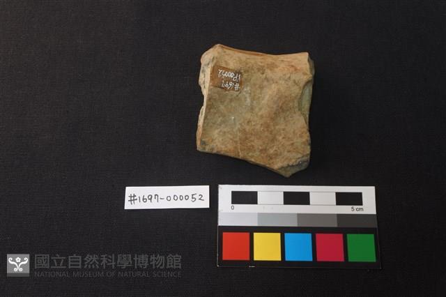 陶片藏品圖，第2張