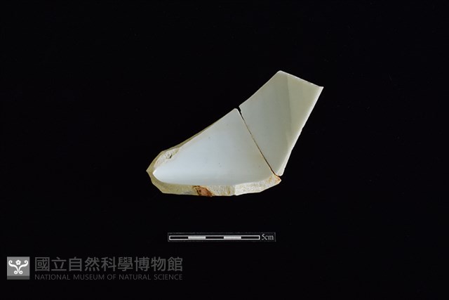 花盆藏品圖，第2張