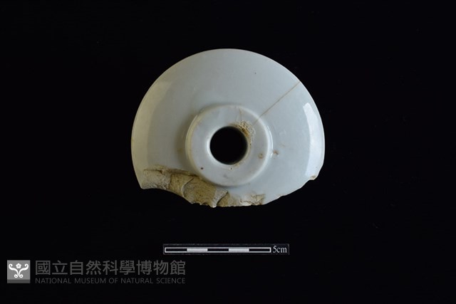 礙子藏品圖，第2張