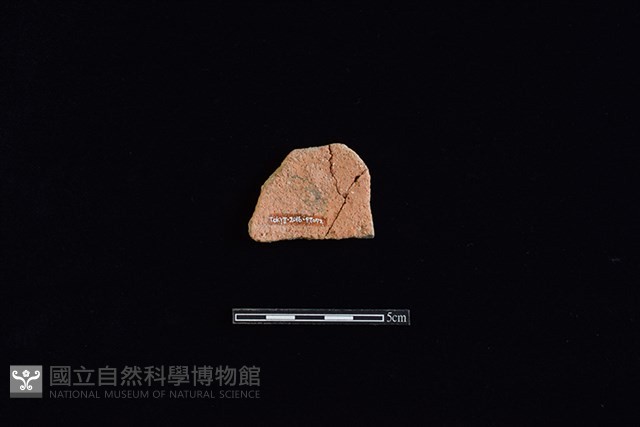 陶片藏品圖，第2張