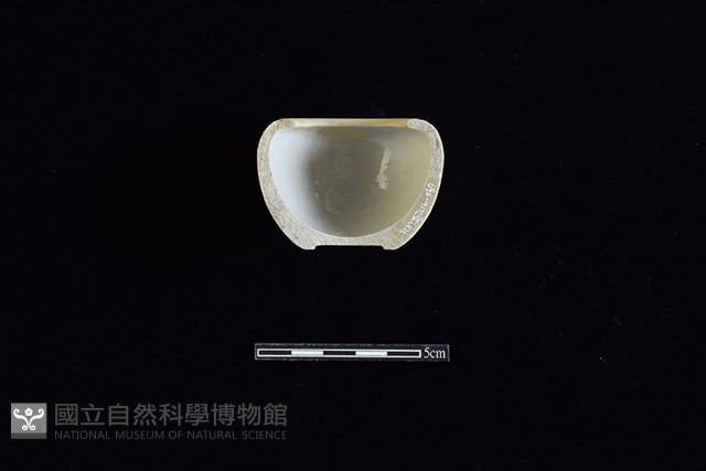 缽藏品圖，第2張