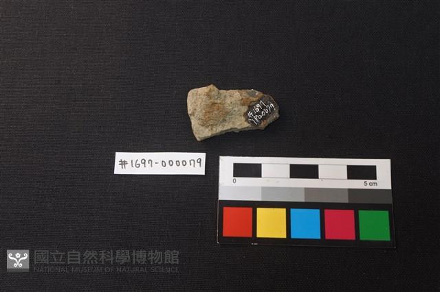 陶片藏品圖，第2張