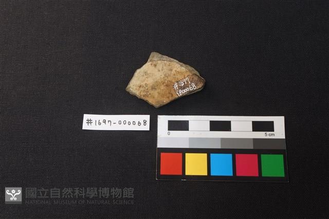 陶片藏品圖，第2張