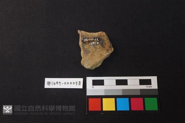 陶片藏品圖，第2張