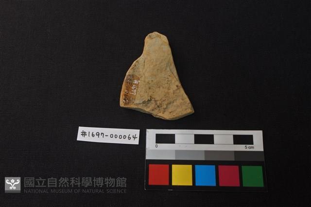 陶片藏品圖，第2張
