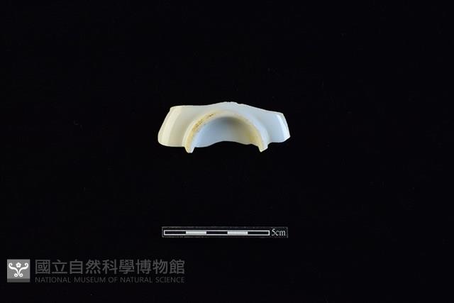 杯藏品圖，第2張