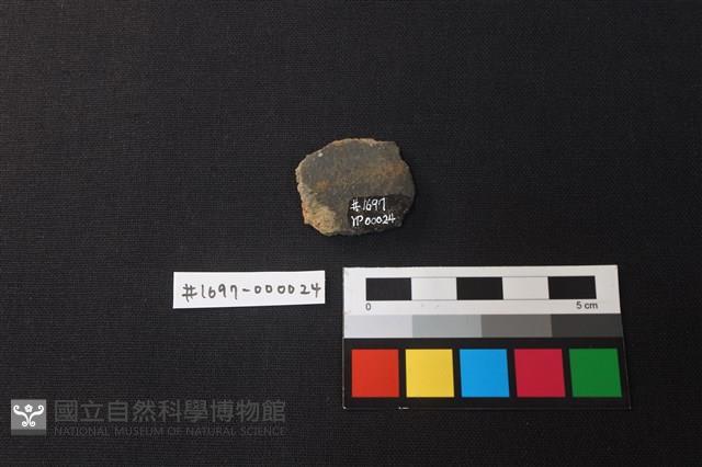 陶片藏品圖，第2張