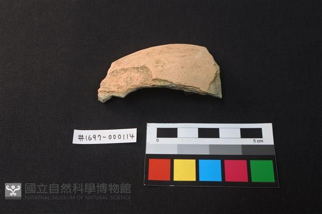 陶片藏品圖，第2張