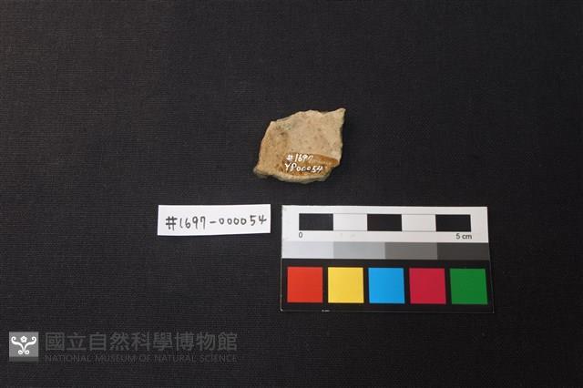 陶片藏品圖，第2張