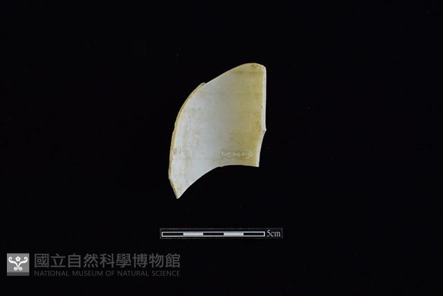 瓷片藏品圖，第2張