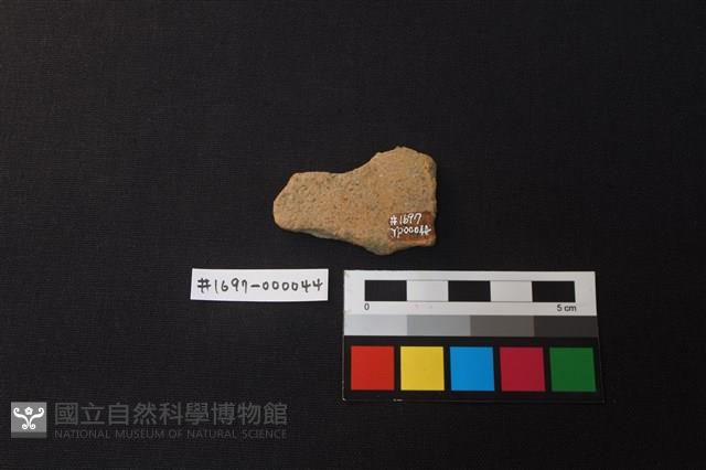 陶片藏品圖，第2張