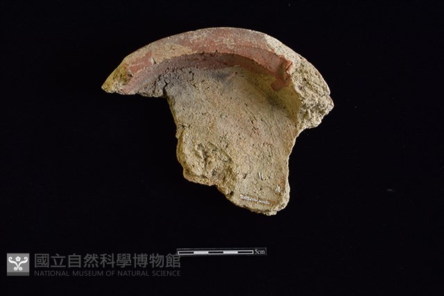 硬陶片藏品圖，第2張