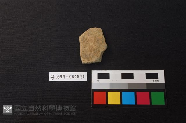 陶片藏品圖，第1張
