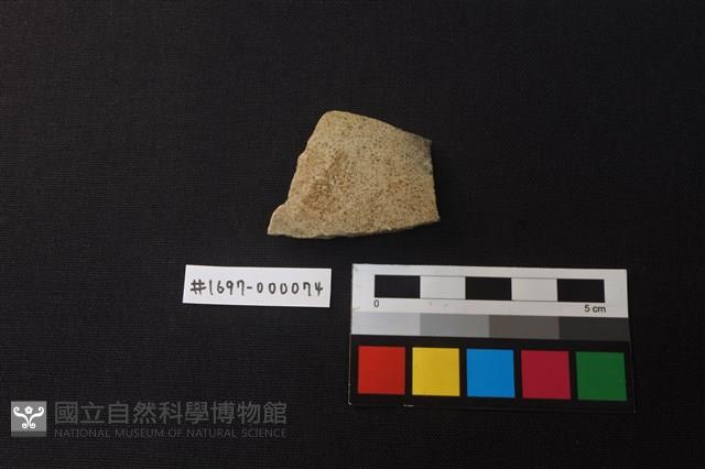 陶片藏品圖，第1張