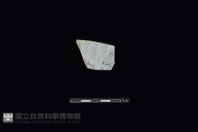 盤藏品圖，第1張