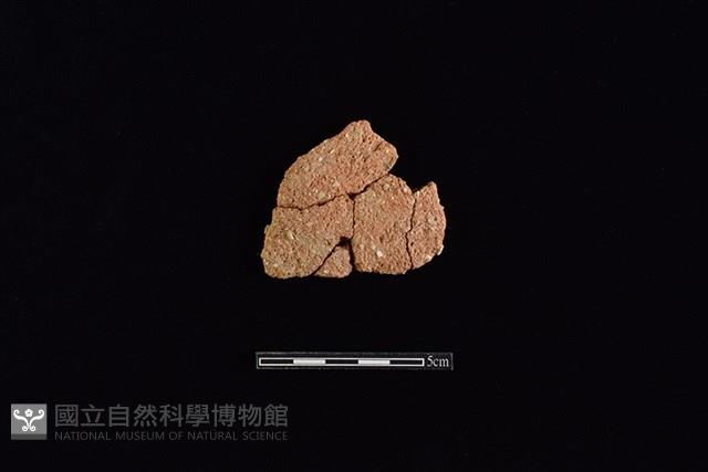 陶片藏品圖，第1張