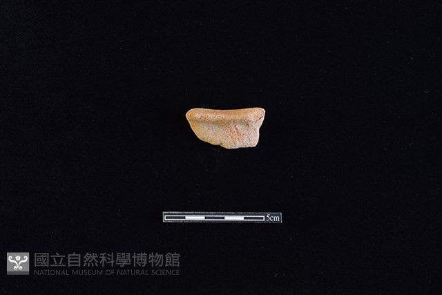 陶罐藏品圖，第1張