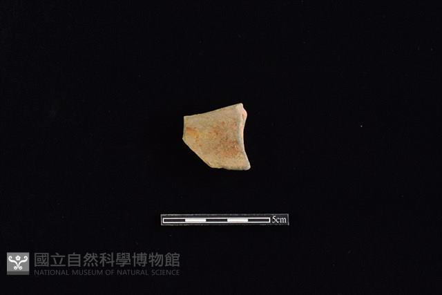 連杯藏品圖，第1張