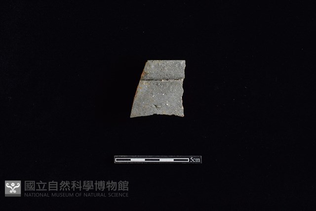 硬陶片藏品圖，第1張