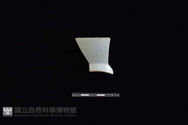 碟藏品圖，第1張