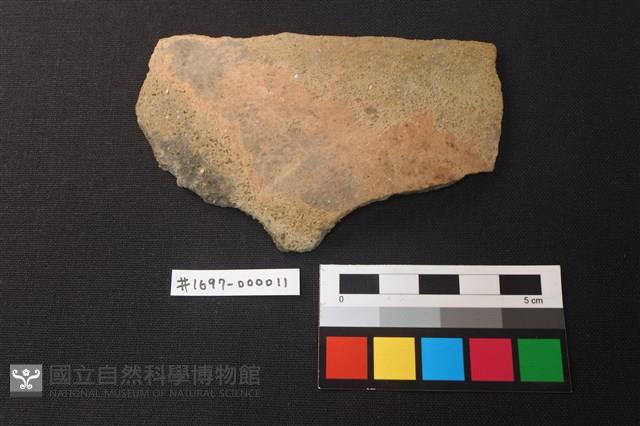 陶片藏品圖，第1張