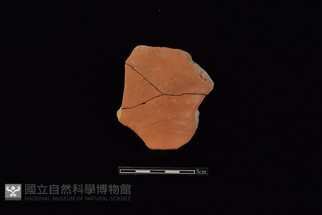 連杯藏品圖，第1張