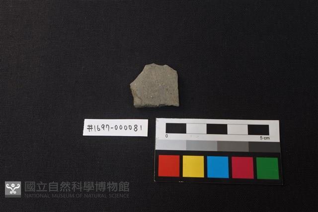 陶片藏品圖，第1張