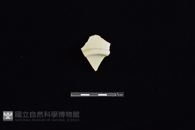盤藏品圖，第1張