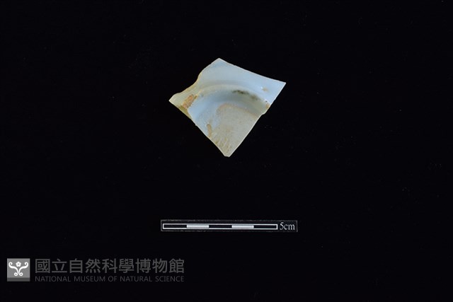 瓷片藏品圖，第1張